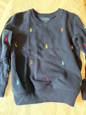 Polo by Ralph Lauren Navy Sweatshirt with Multicolor Pony Embroidery